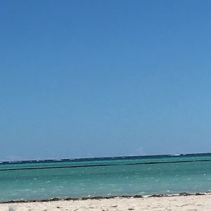 Meet your Posher, Shelly